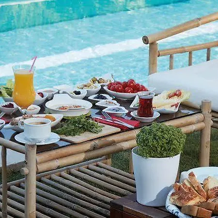 On Bed & Breakfast